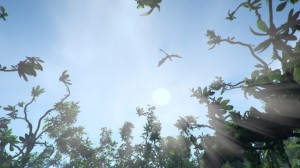 shots_02 (1)